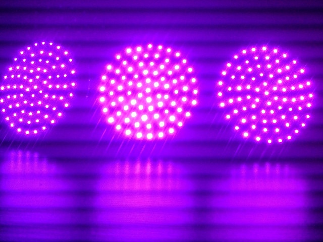 UV LEDs