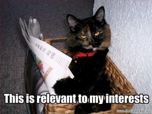 awesome-internet-photos-cat-read-relevant-funny