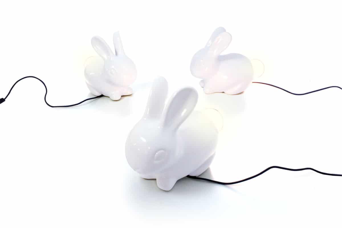 20506_rabbitligh-all3-white