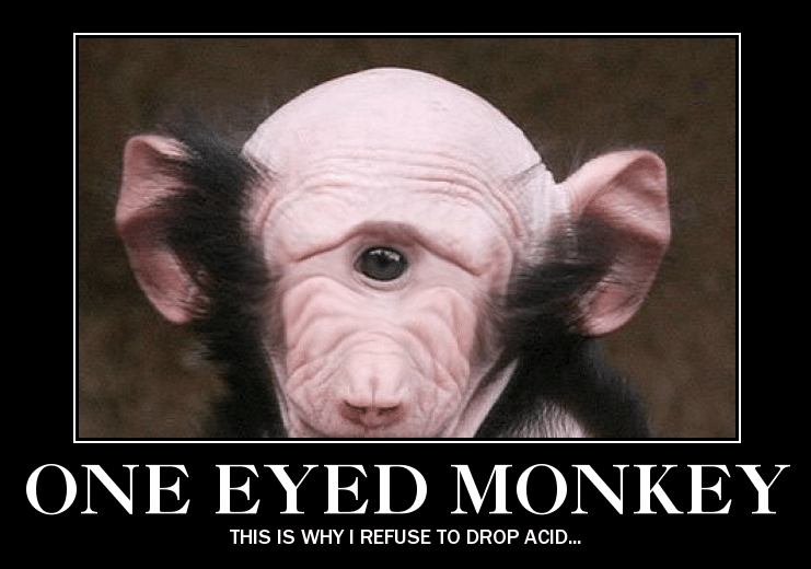 one-eyed-monkey