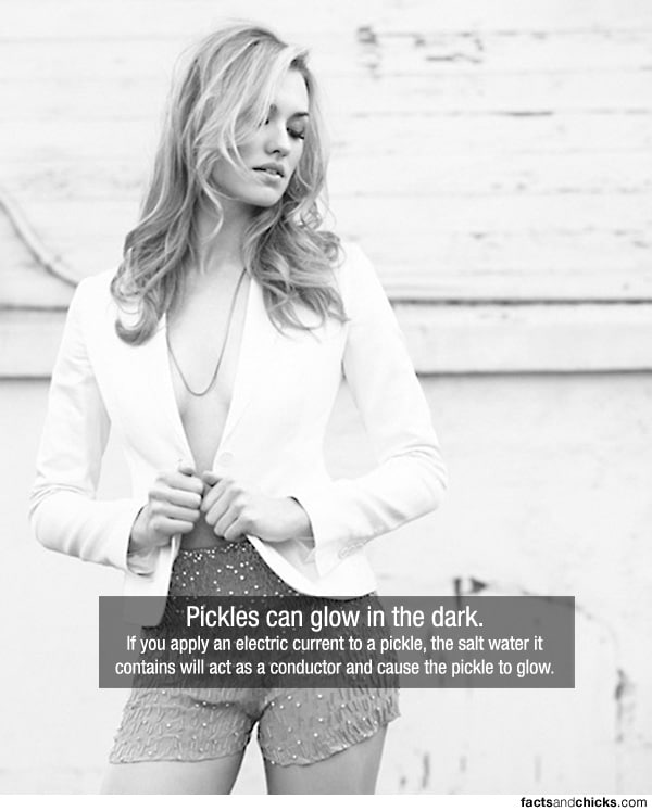 pickles-facts-and-chicks