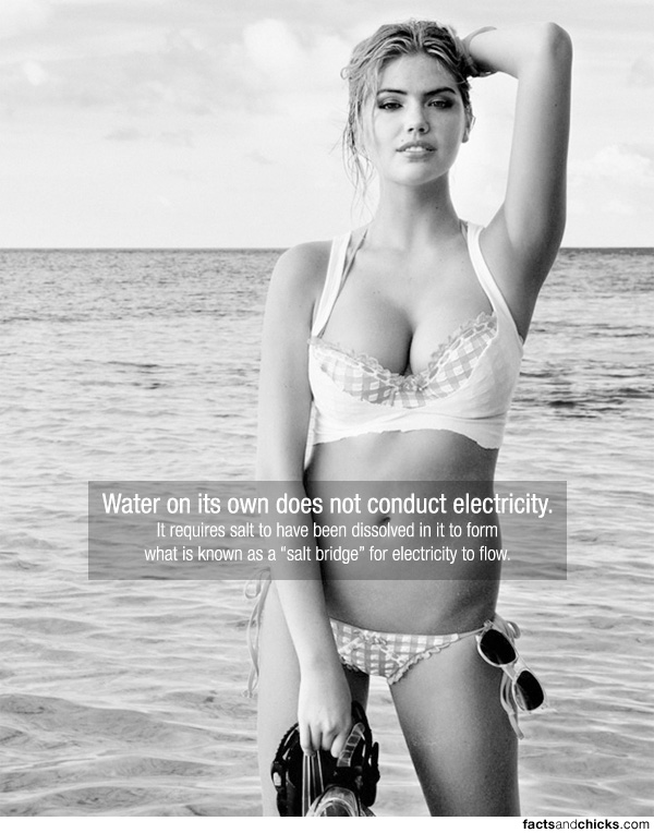 water-electricity-facts-and-chicks