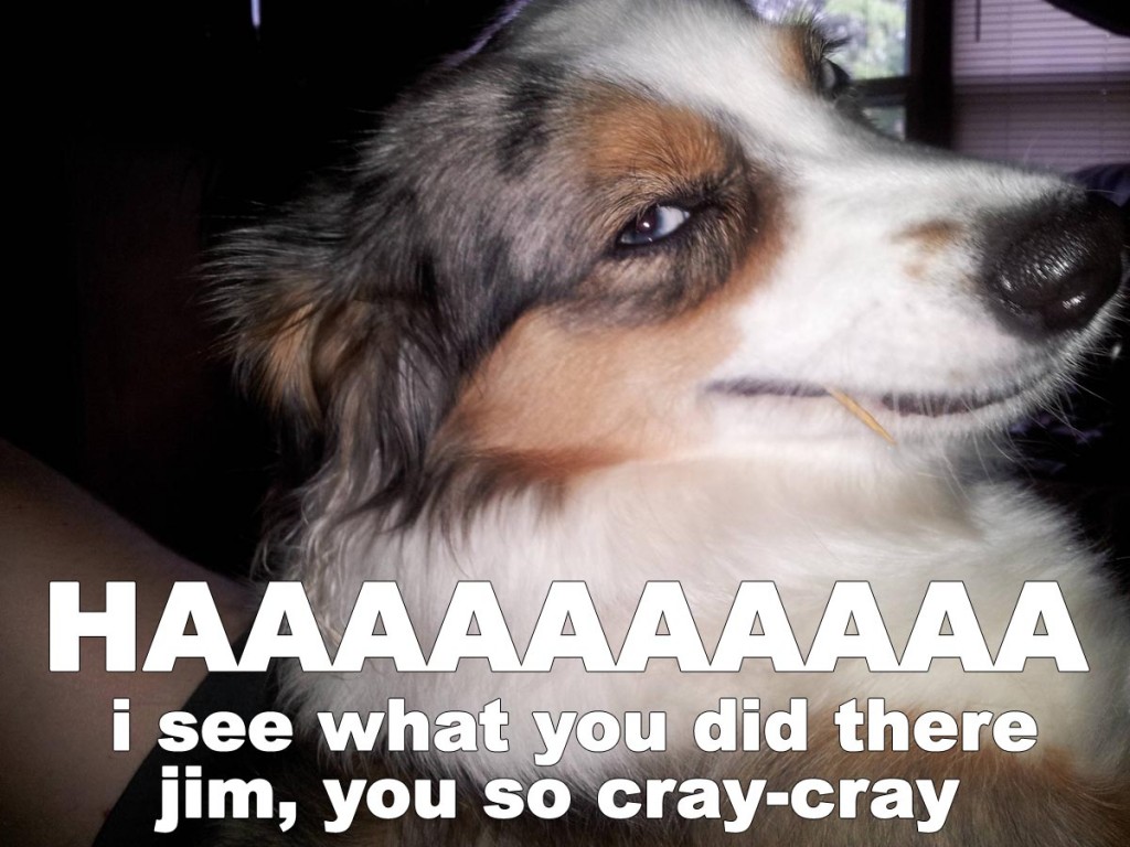 jim-you-so-crazy
