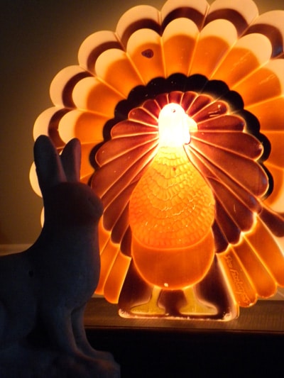 light-up-turkey