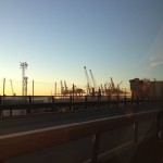 Sea Cranes at the port
