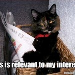 awesome-internet-photos-cat-read-relevant-funny