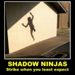 shadow-ninjas