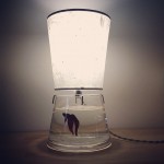 fishtank-lamp