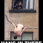 hang-in-there