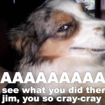 jim-you-so-crazy