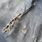 Frayed and torn old jeans