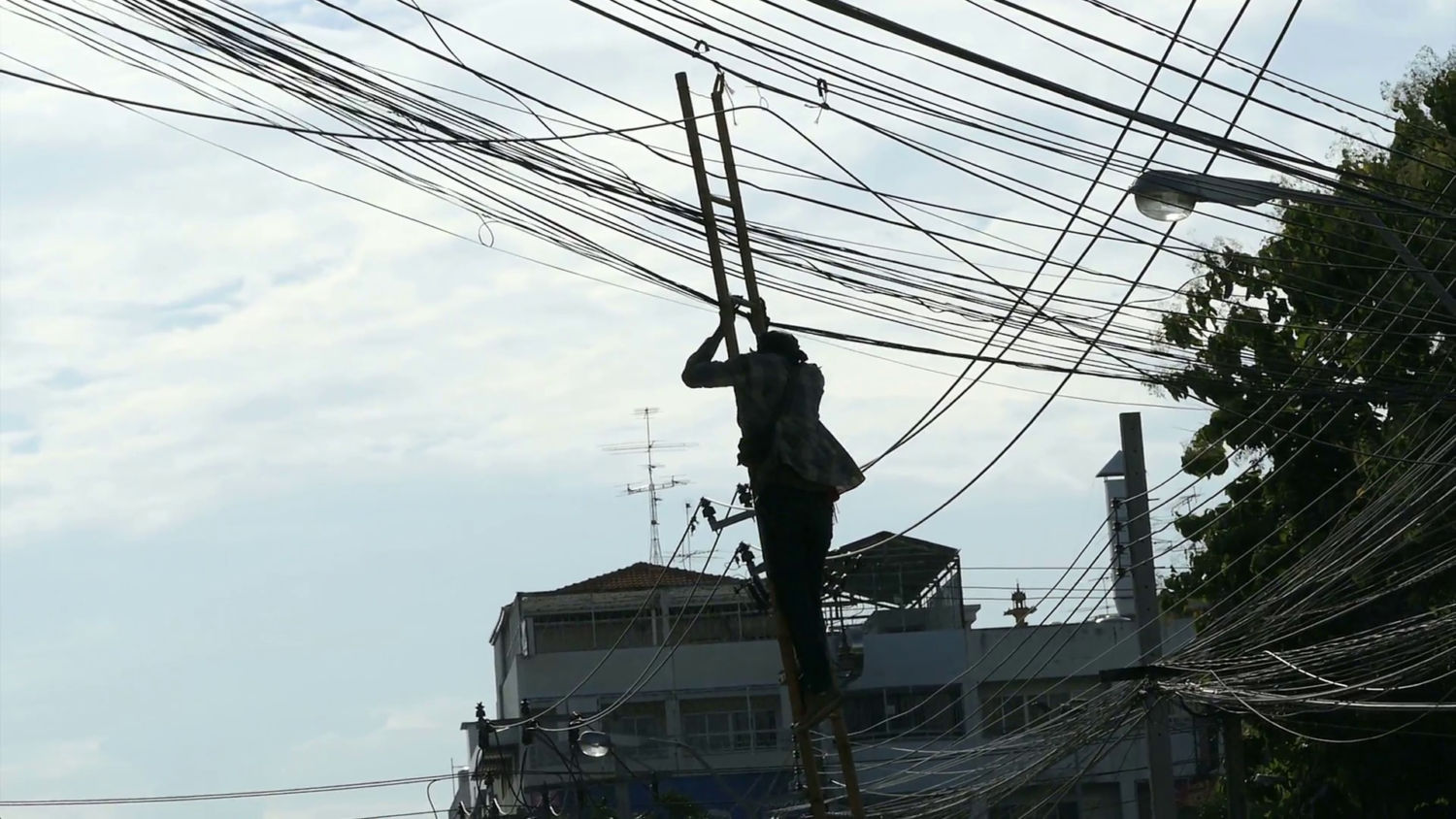 Electrical Bird Nests of Death Worldwide | Jim On Light